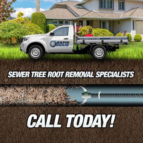 Sewer Tree Root Removal Specialists In Chelmer